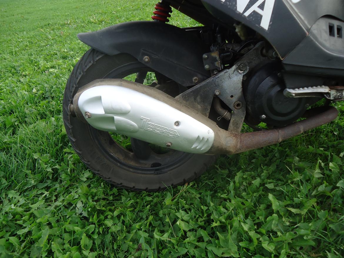 PGO Hot 50 billede 5