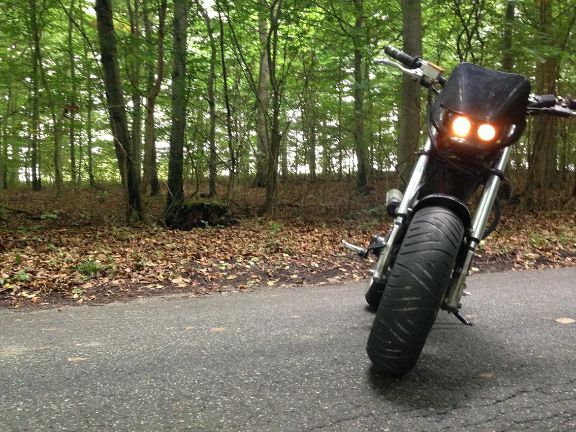 Suzuki Street Magic billede 2