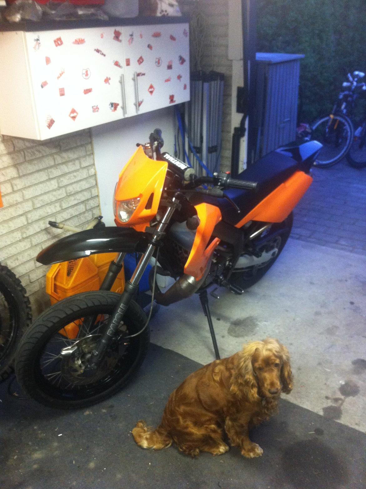 Derbi Senda Xtreme (VIRKELIG VELHOLDT) [BYT-TET] billede 21