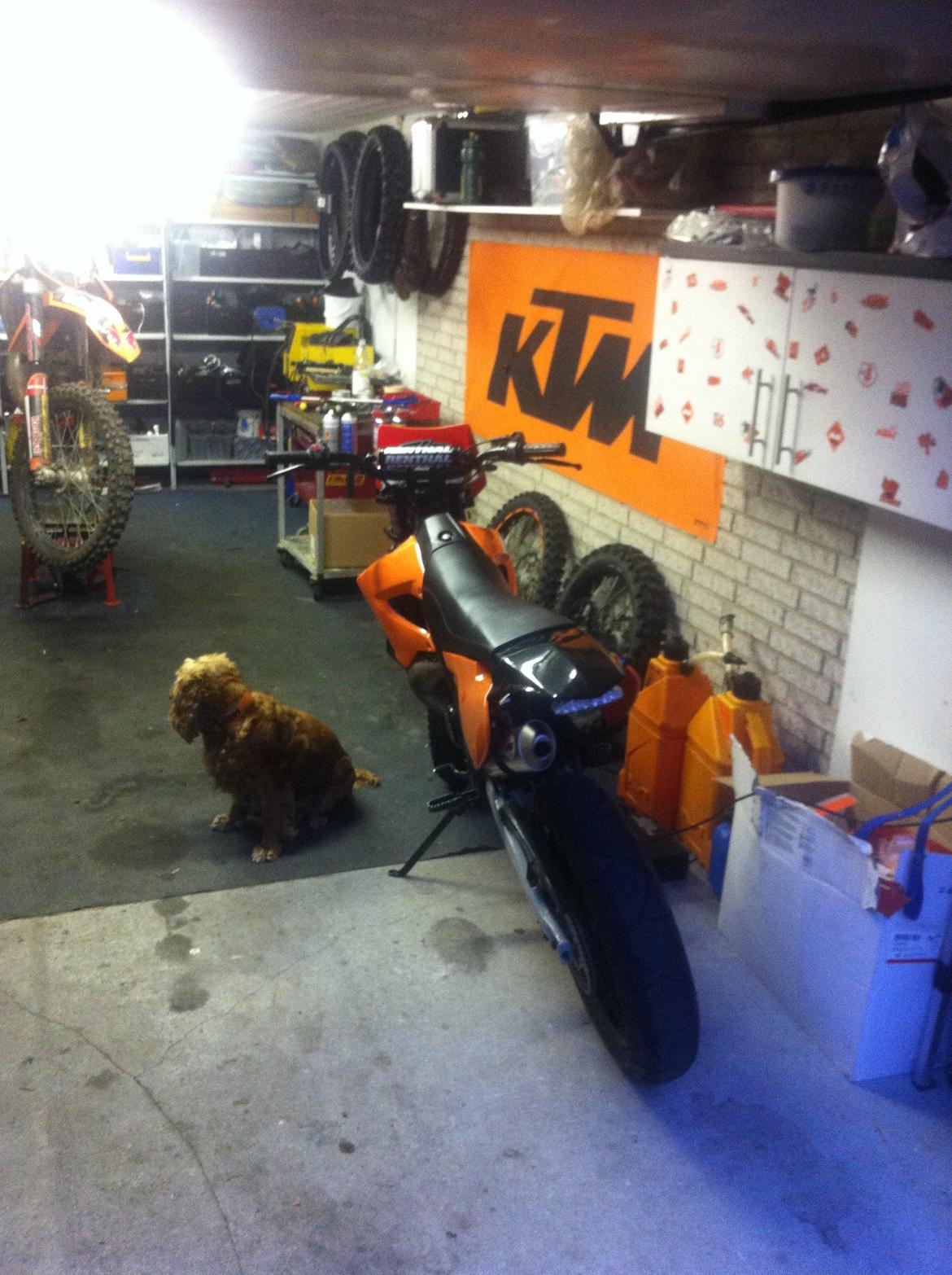 Derbi Senda Xtreme (VIRKELIG VELHOLDT) [BYT-TET] billede 22