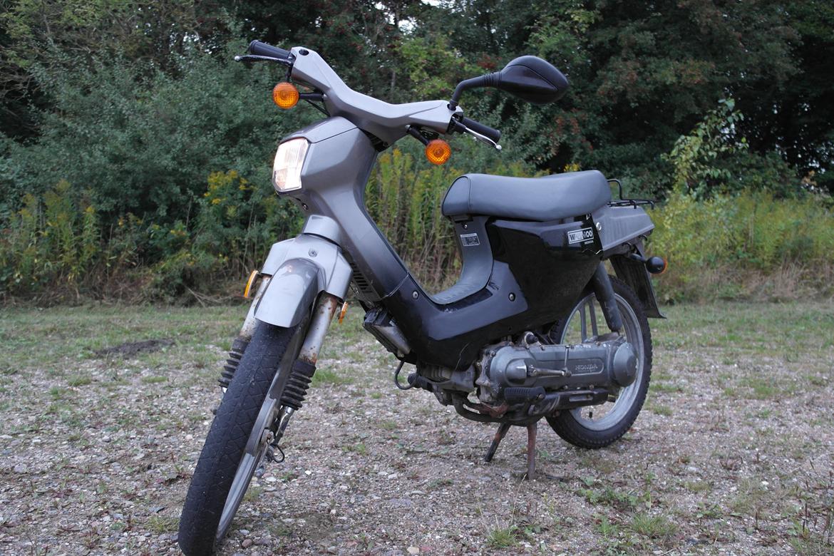 Honda Wallaroo "Walter" billede 1