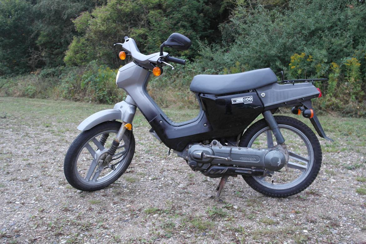 Honda Wallaroo "Walter" billede 2