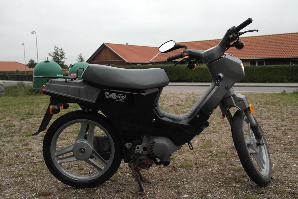 Honda Wallaroo "Walter" billede 6