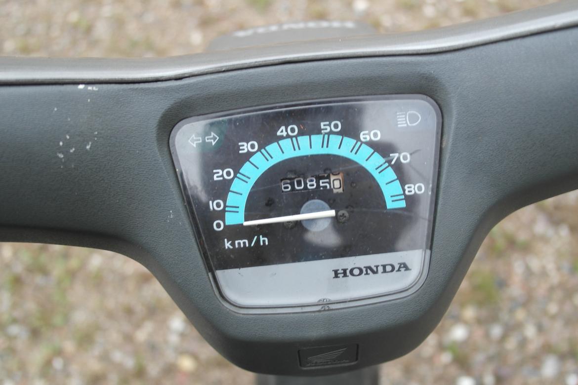 Honda Wallaroo "Walter" billede 10