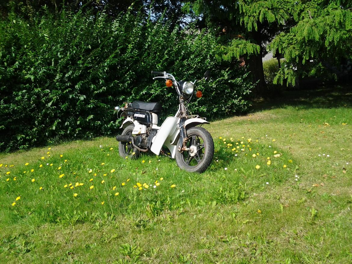 Suzuki FZ 50 billede 3