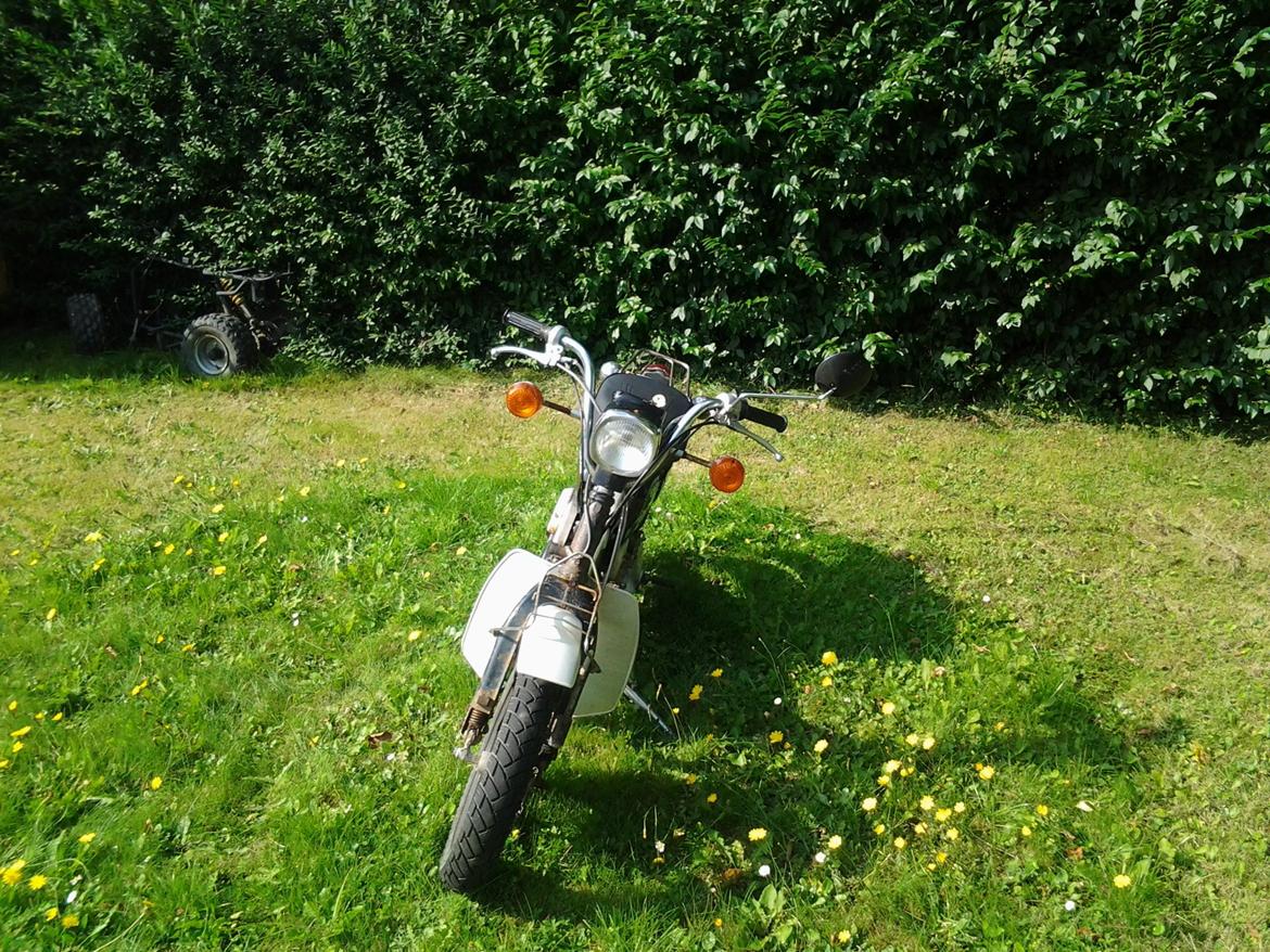 Suzuki FZ 50 billede 8
