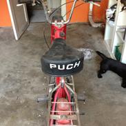 Puch Maxi