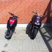 PGO Hot 50 - The Beast!