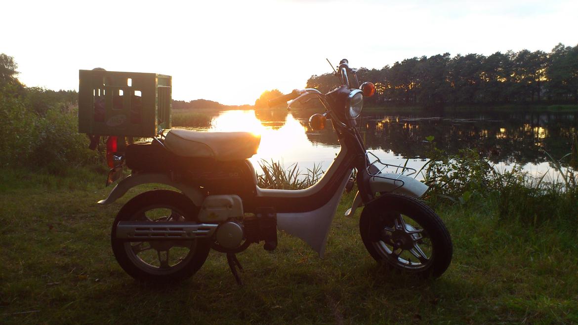 Suzuki FZ50 "Suzi" billede 19