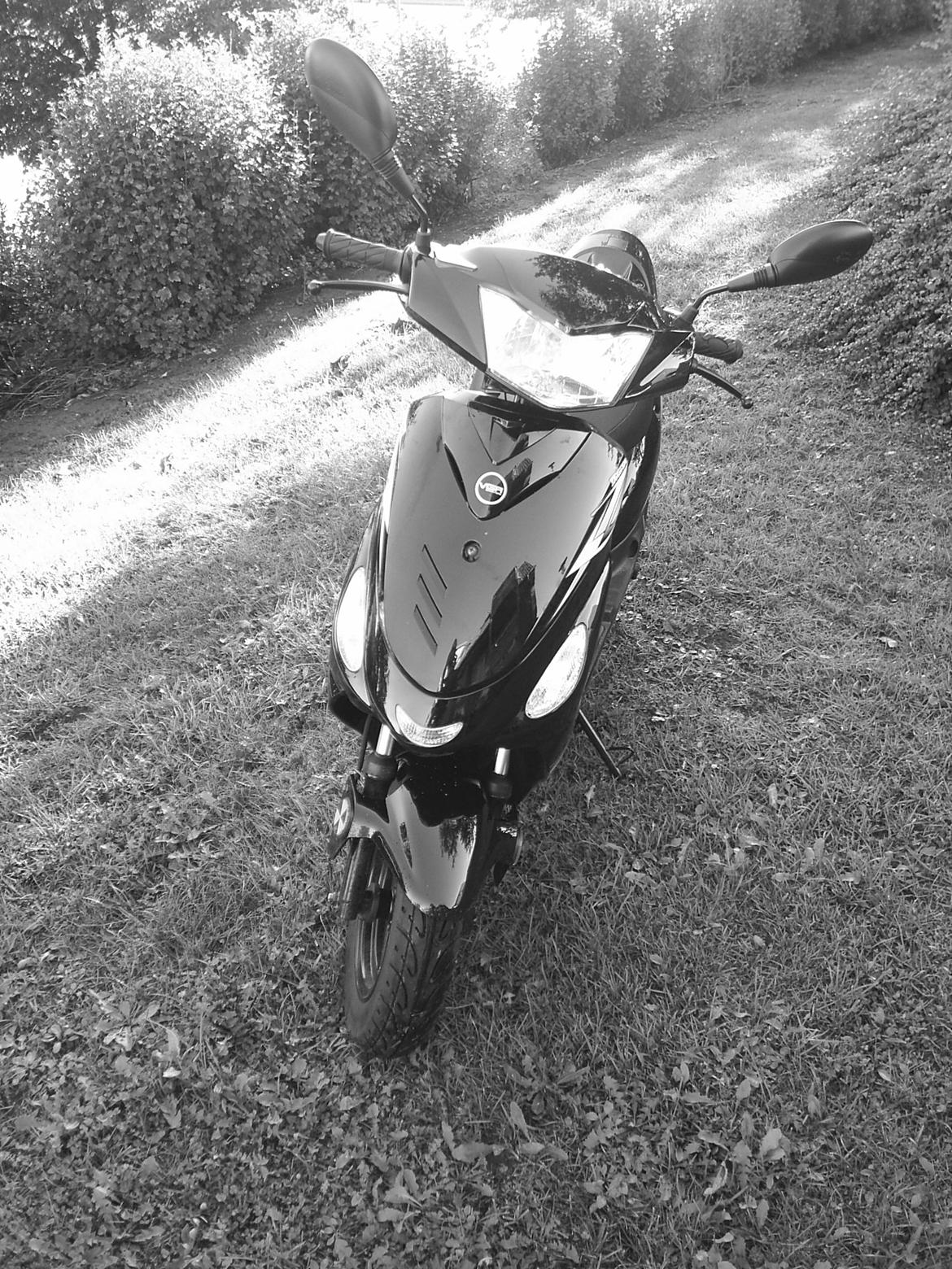 VGA Digita billede 5