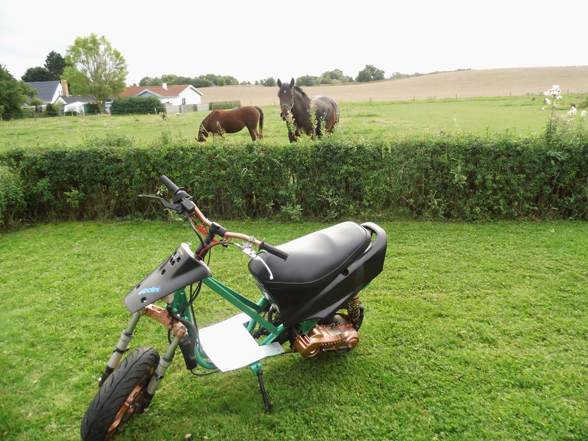 Kreidler easy rider billede 20