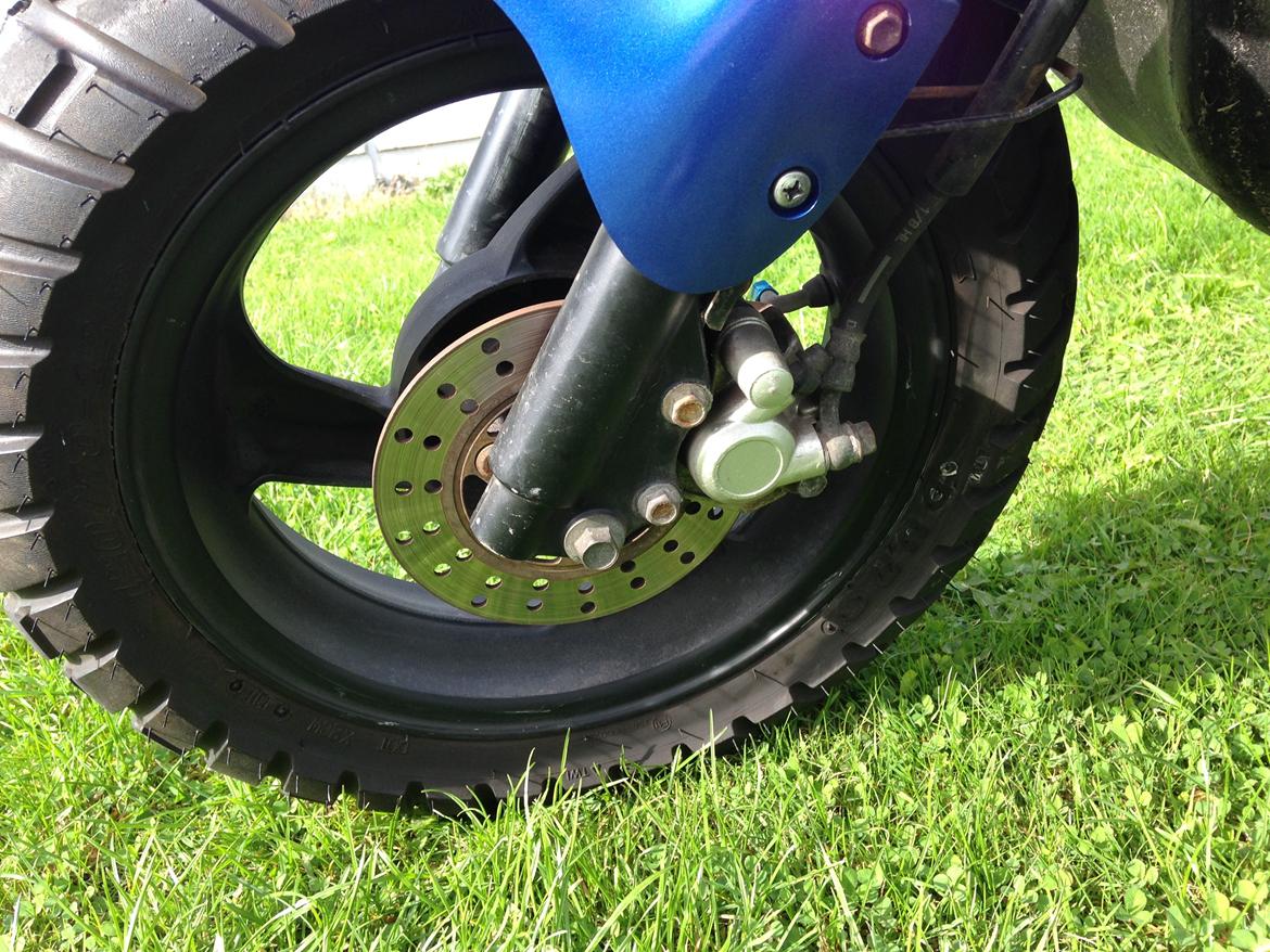 PGO Hot 50 Blue Pearl billede 9