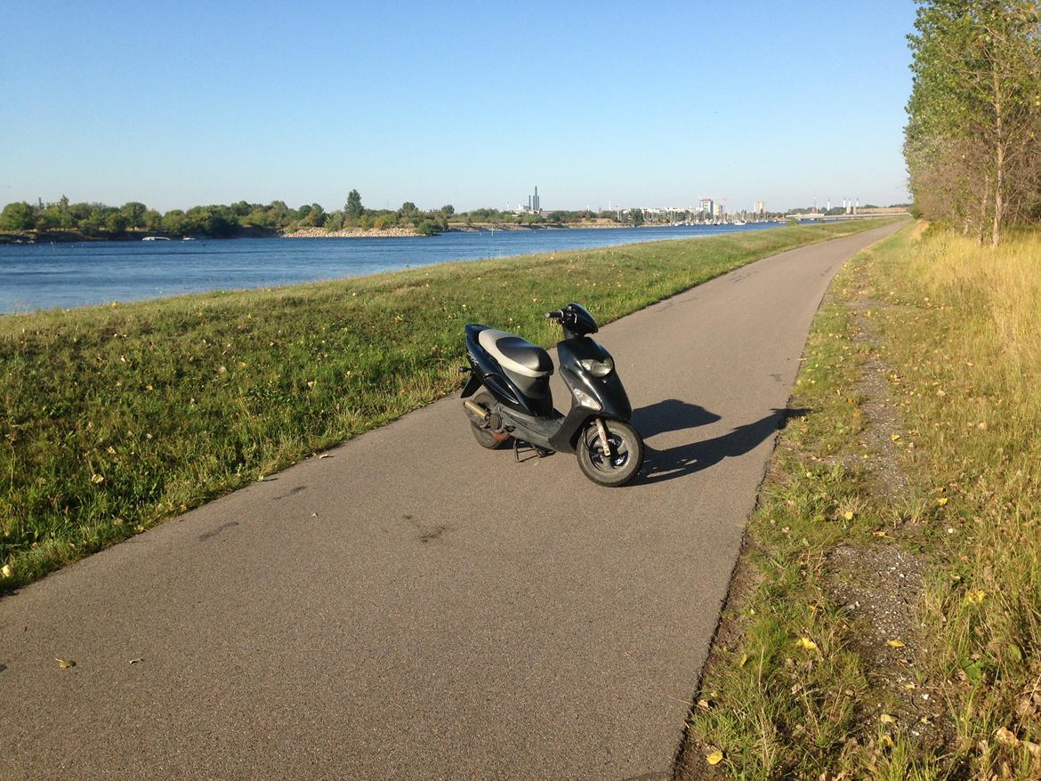 Honda sfx the black devil billede 11