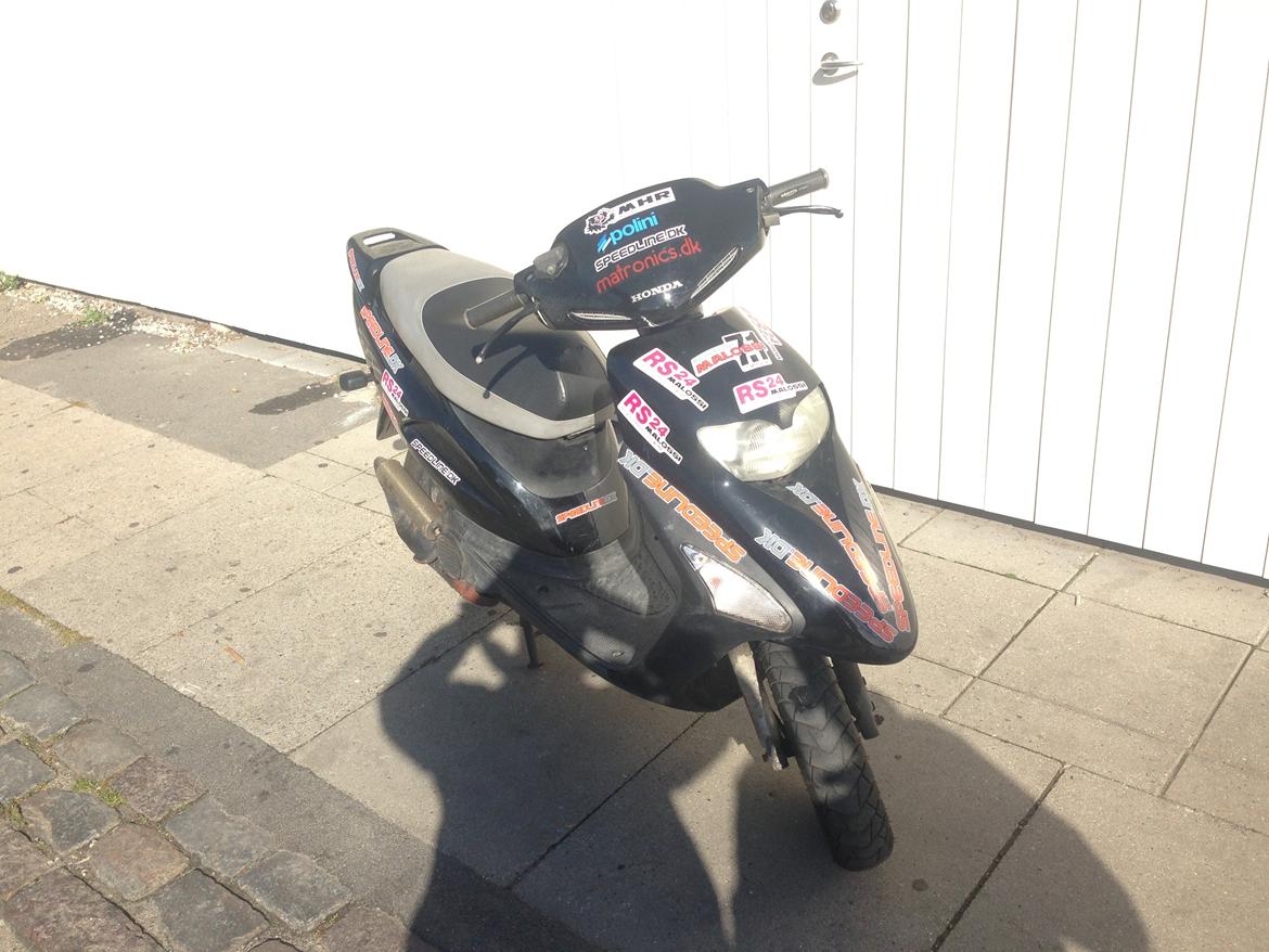 Honda sfx the black devil billede 18