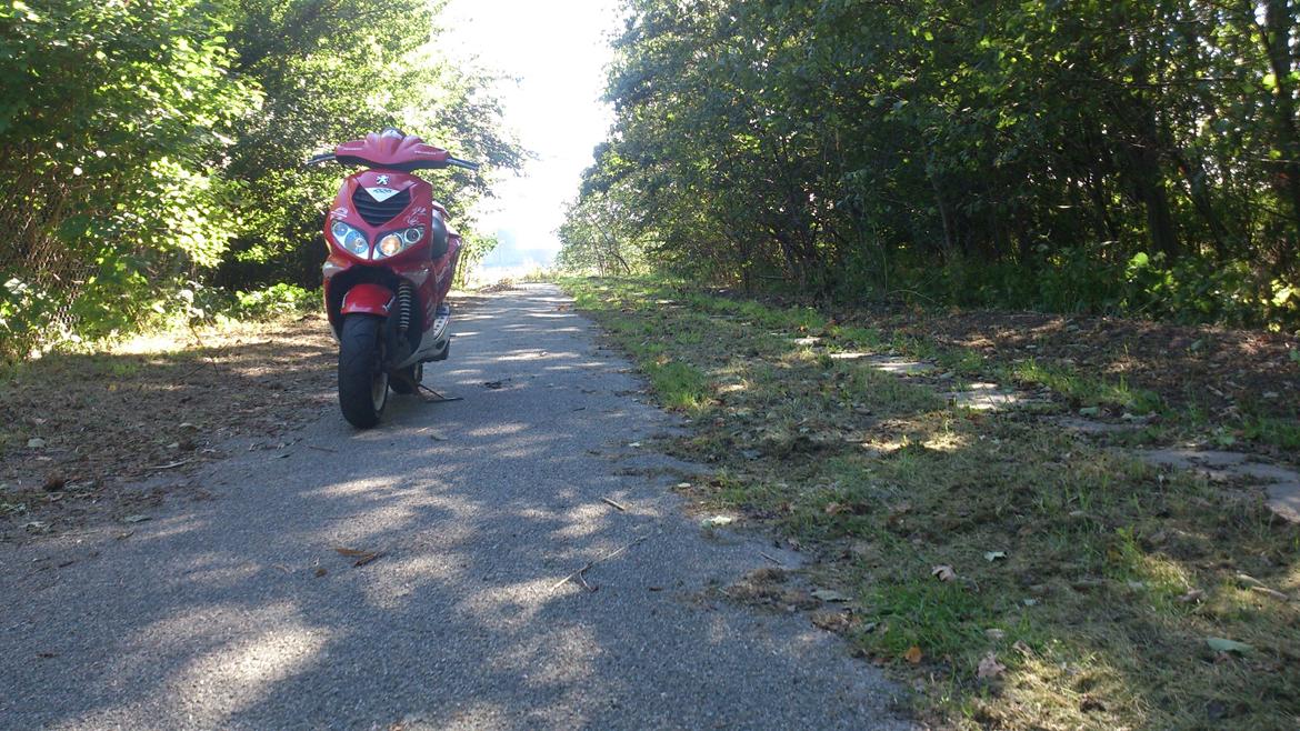 Peugeot Speedfight 2 billede 11