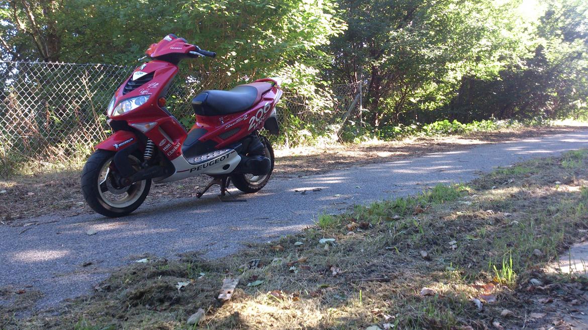 Peugeot Speedfight 2 billede 12