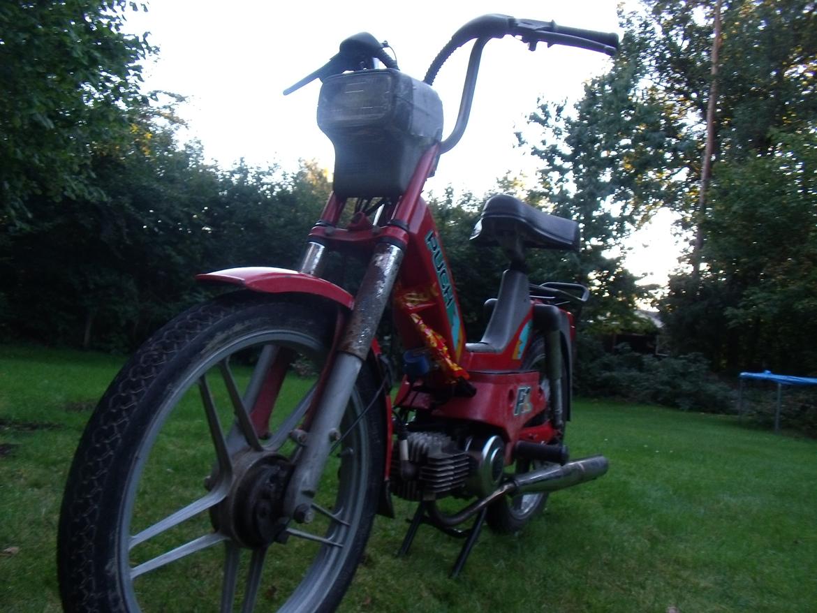 Puch maxi p1L k model billede 8