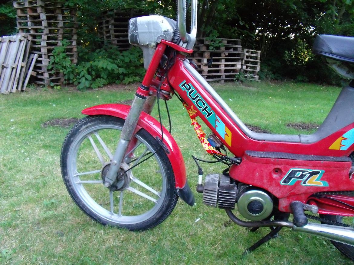 Puch maxi p1L k model billede 16