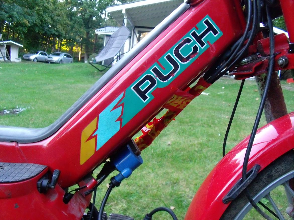 Puch maxi p1L k model billede 19