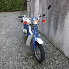 Suzuki FZ50 - SOLGT