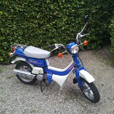 Suzuki FZ50 - Original - SOLGT
