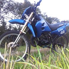 Suzuki Rmx