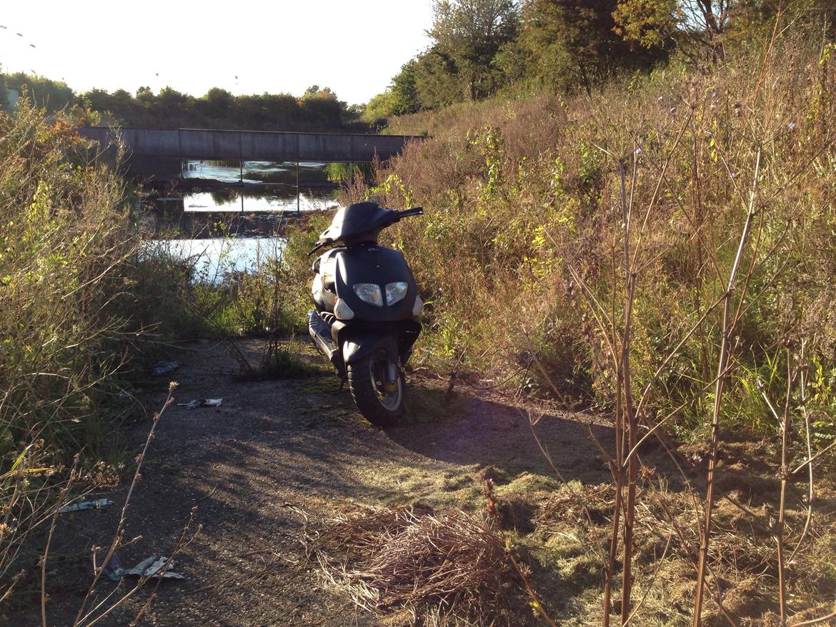 PGO Dr.big billede 4