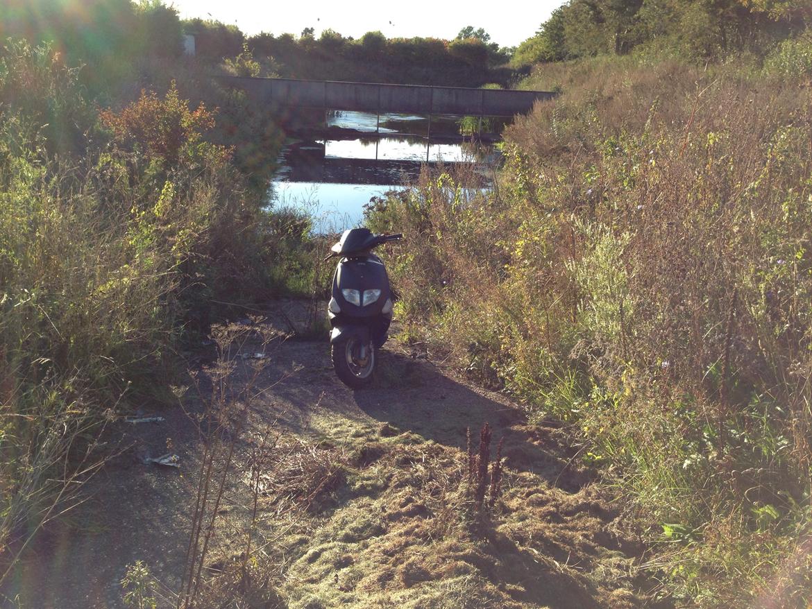 PGO Dr.big billede 3