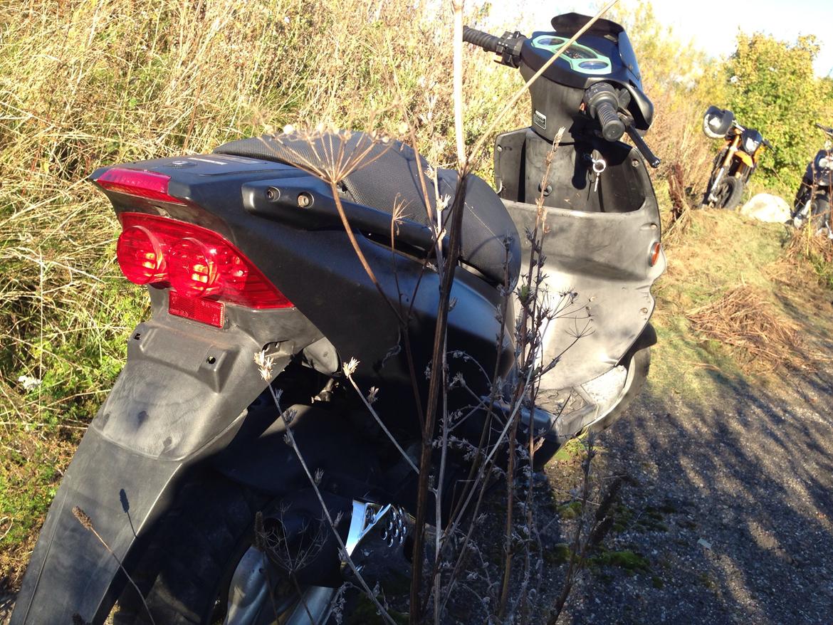 PGO Dr.big billede 6