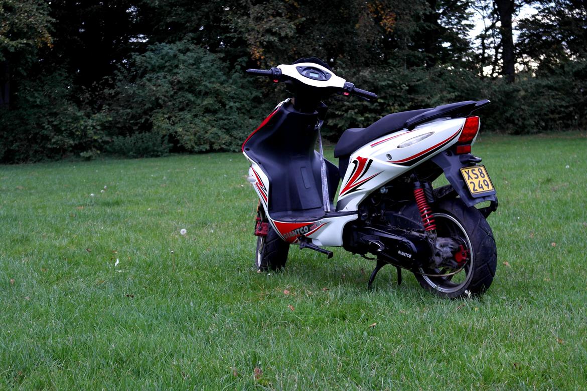 Giantco G-10 AC, DD. billede 2