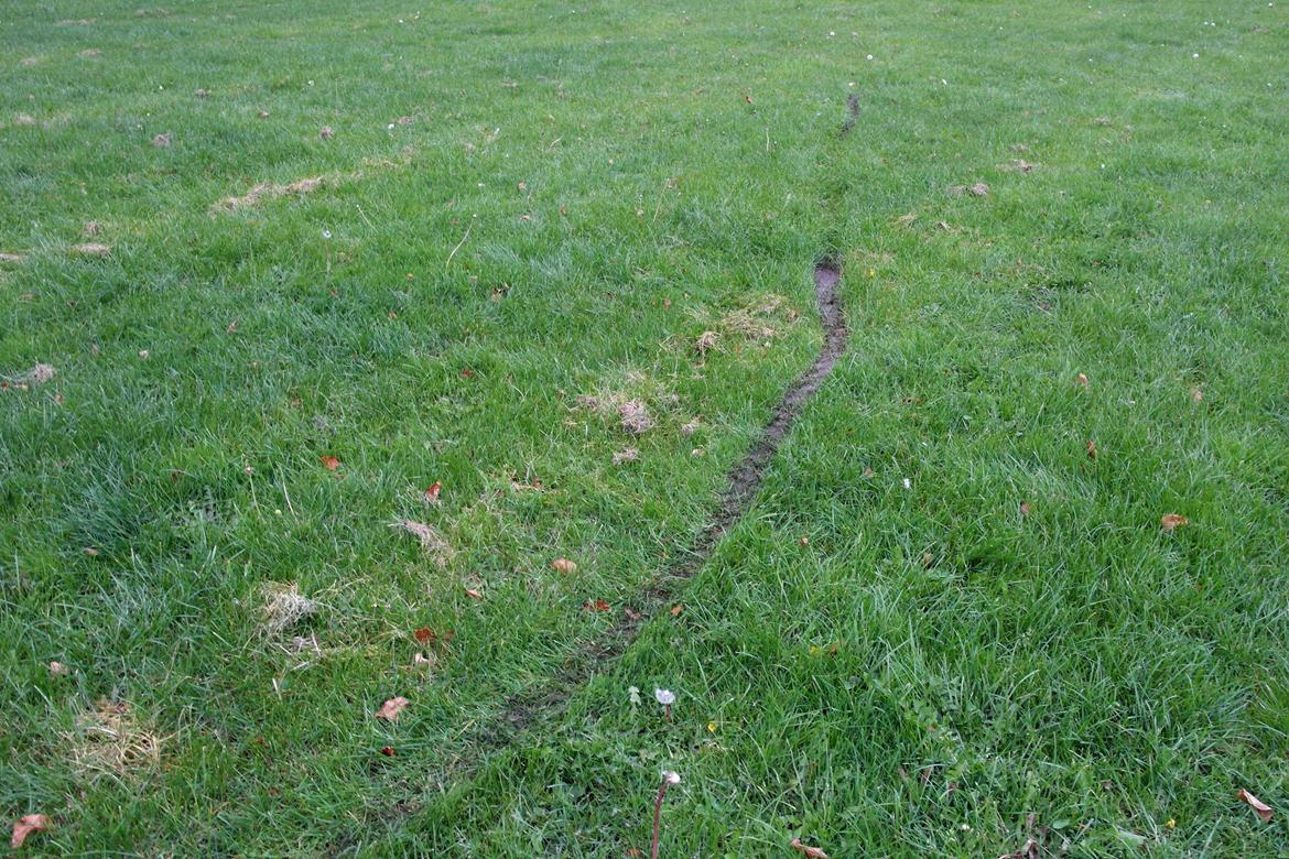 Giantco G-10 AC, DD. - Det er en Giantco, men derfor kan den stadig trække en flot streg i græsset. billede 19