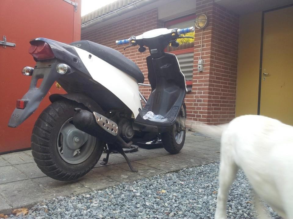 PGO HOT 50 billede 13