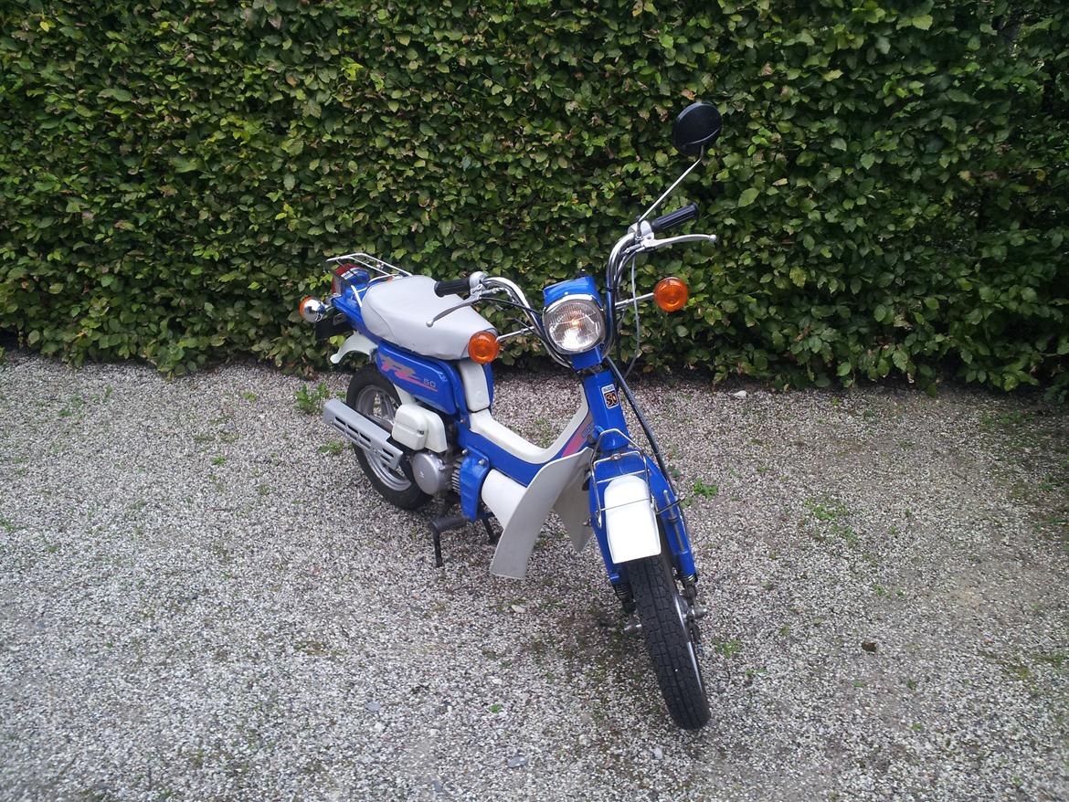 Suzuki FZ50 - Original - SOLGT billede 2