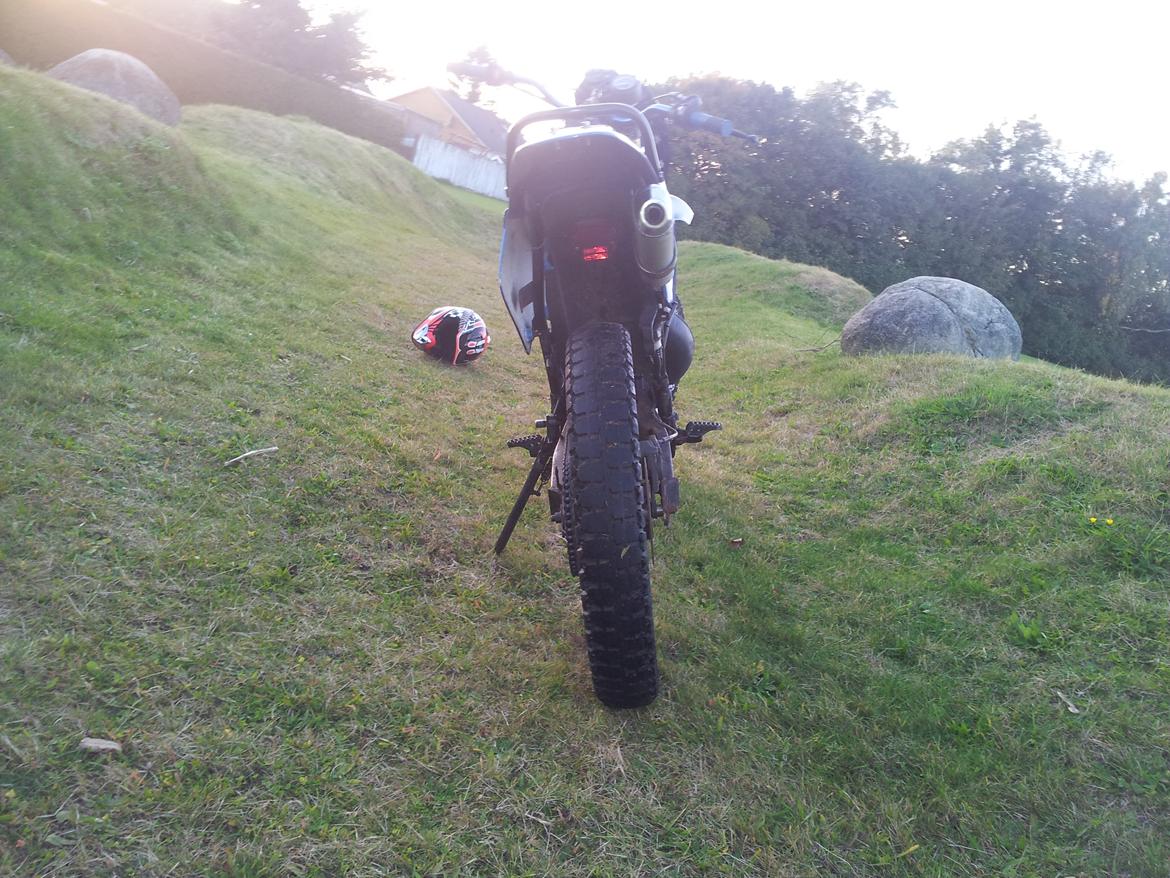 Suzuki Rmx billede 19