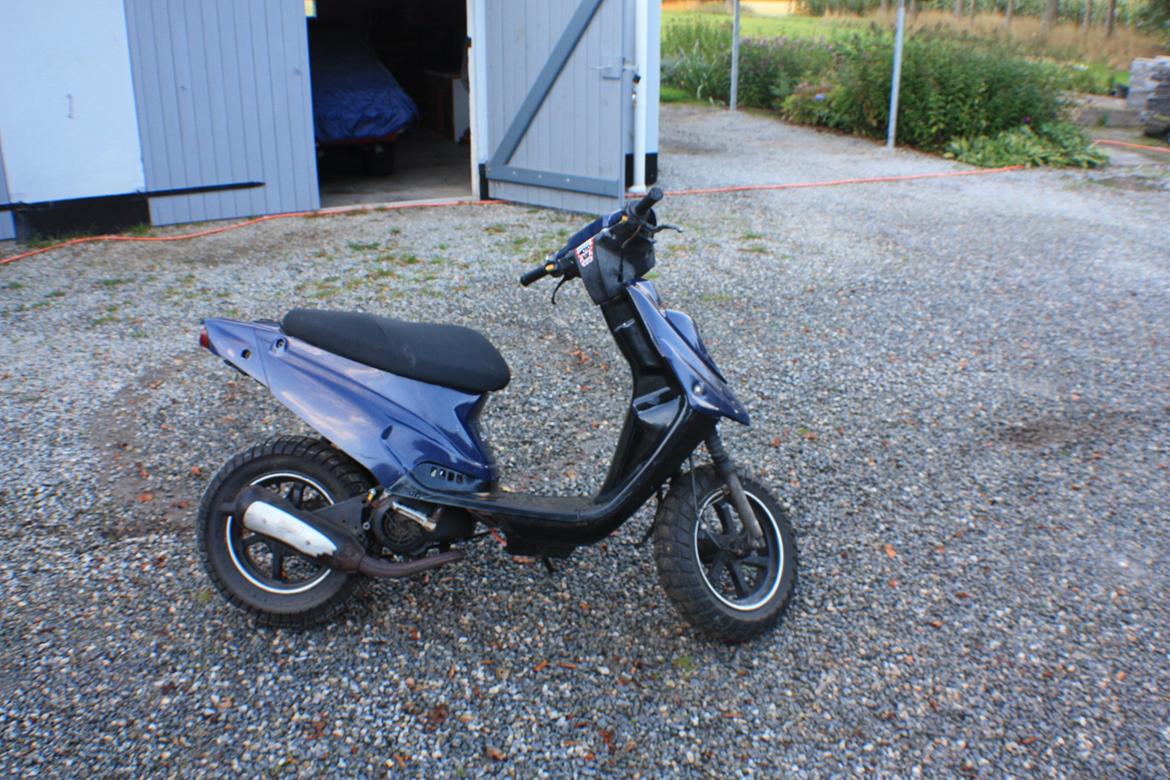 PGO Hot 'Æ hverdagsged billede 1