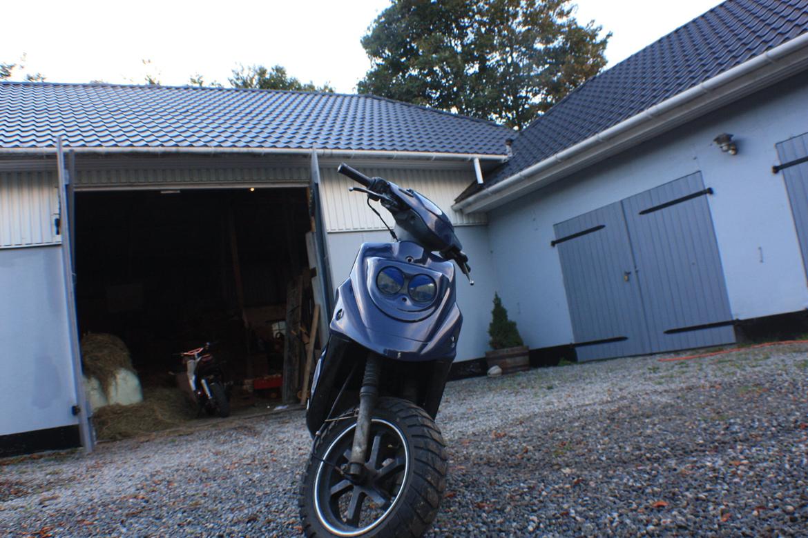 PGO Hot 'Æ hverdagsged billede 2