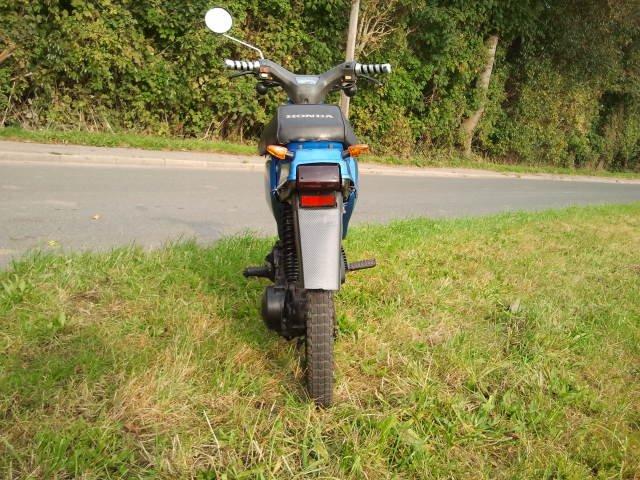 Honda Wallaroo billede 12