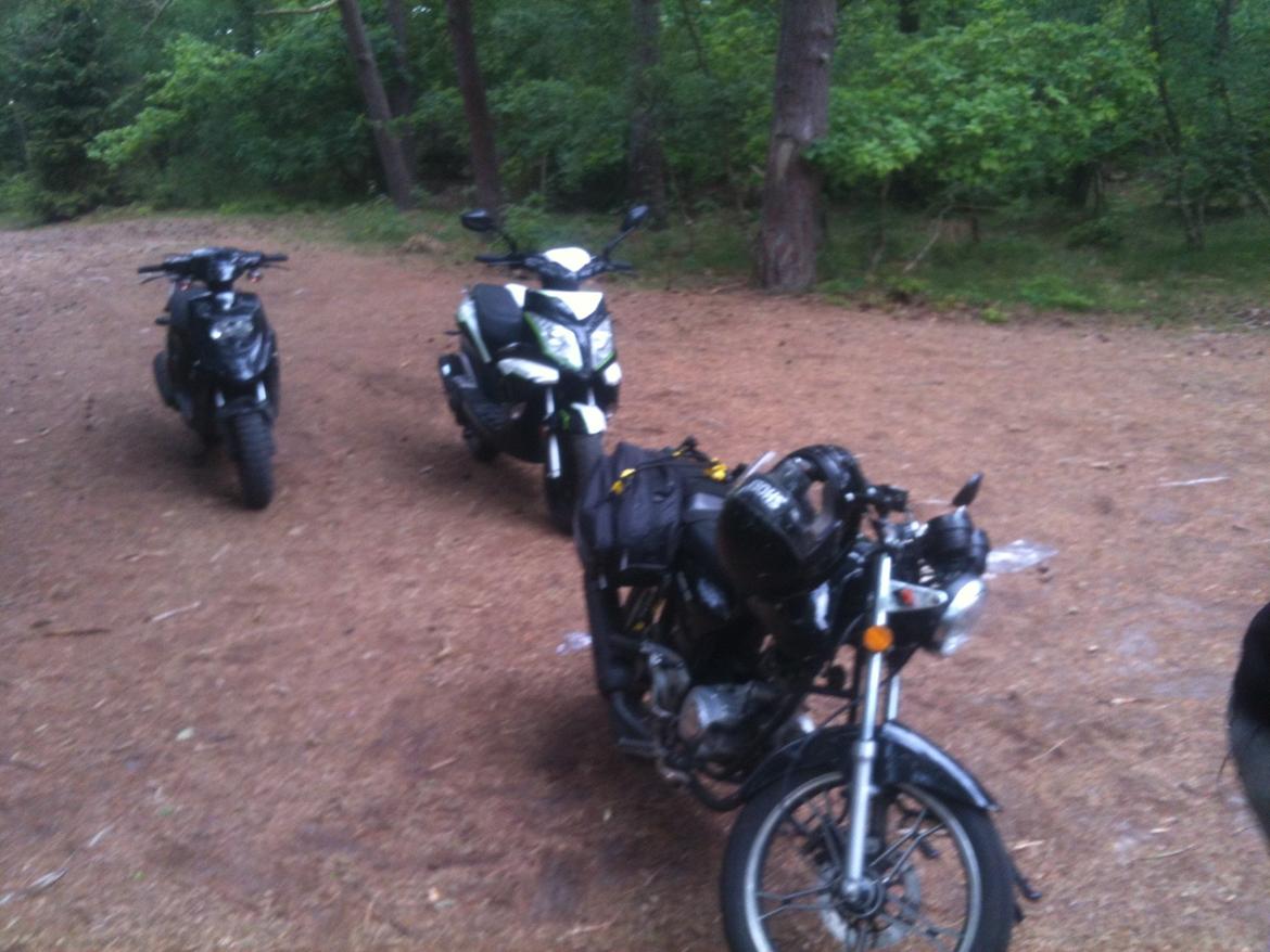 Yamasaki ym-50 8b billede 5