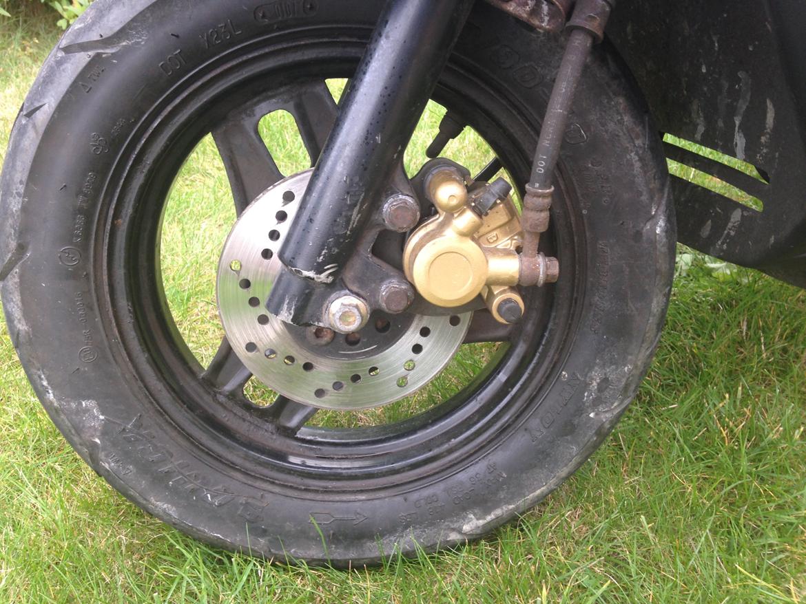 PGO Comet billede 15