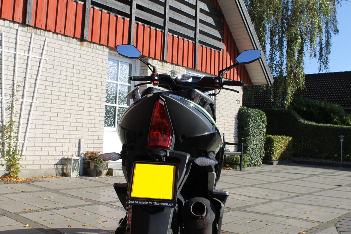 VGA Grido billede 11