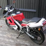 Yamaha TZR 50