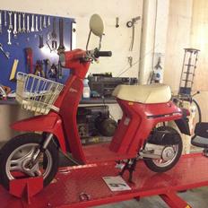 Honda NT50 Melody Mini