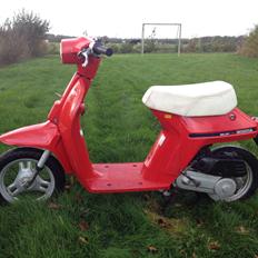 Honda Melody mini NT50