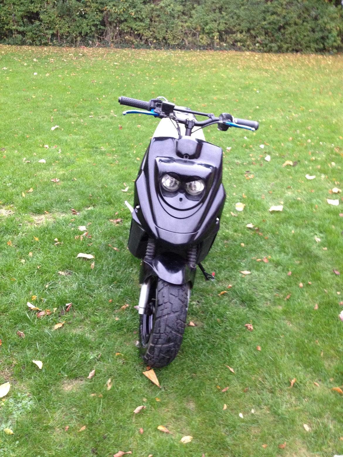 PGO Hot 50 billede 2