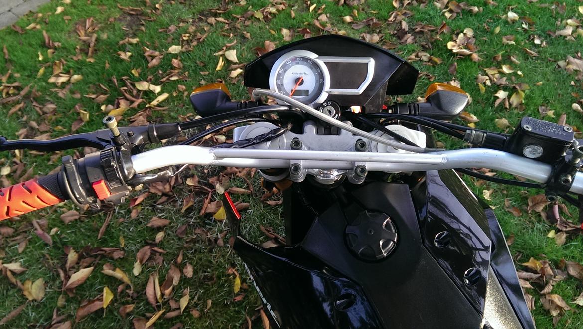 Generic Trigger sm 50 (Fissemagneten) billede 21