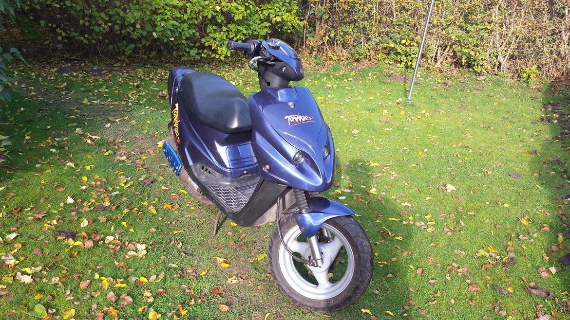 PGO Tornado billede 4