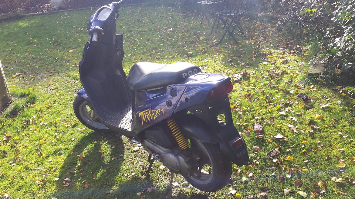 PGO Tornado billede 11