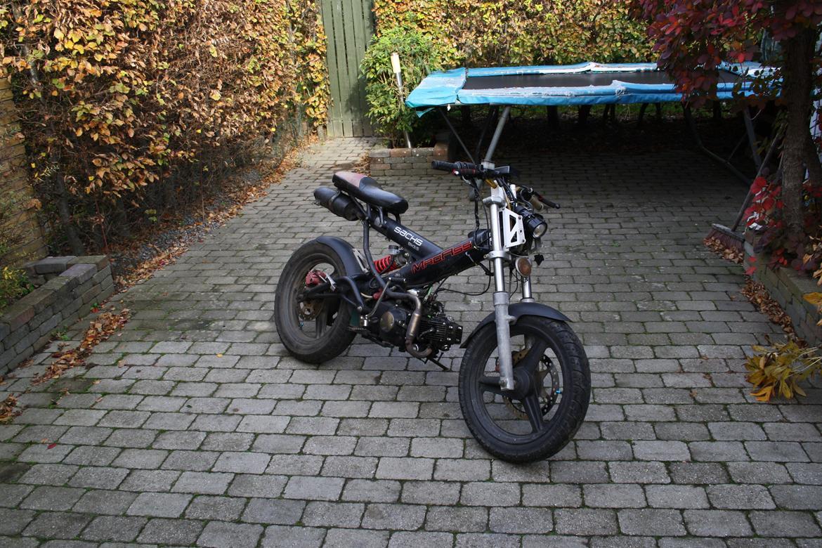 Sachs Bad ass billede 1