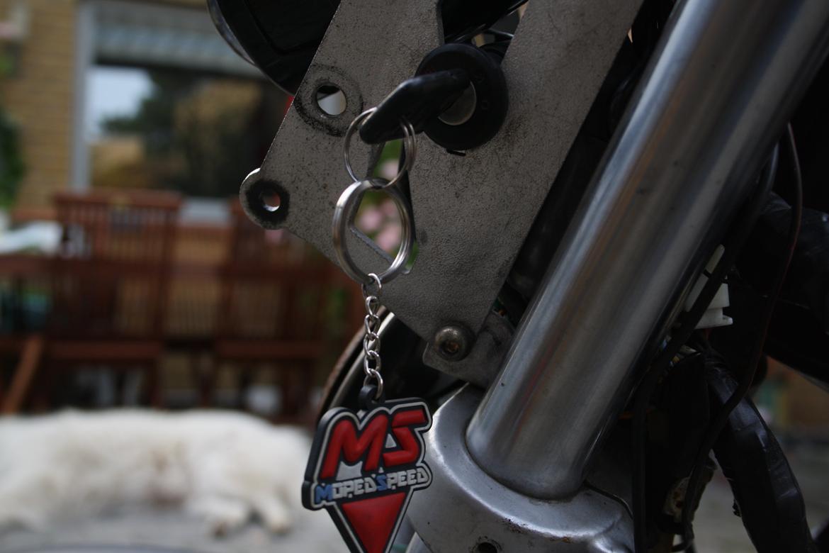 Sachs Bad ass billede 6