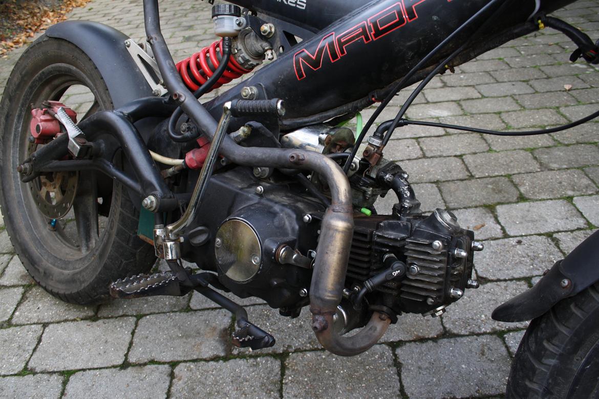 Sachs Bad ass billede 8